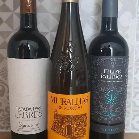 Mi Casa Plantas Mosonmagyaróvár