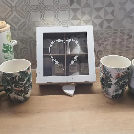Mi Casa Plantas
