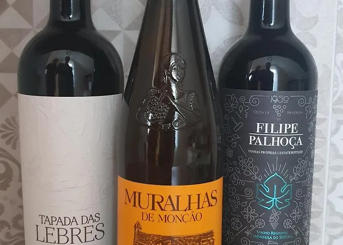 Mi Casa Plantas Mosonmagyaróvár